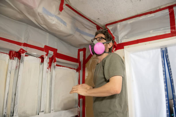 Reliable Monroe, MI Mold Removal Solutions