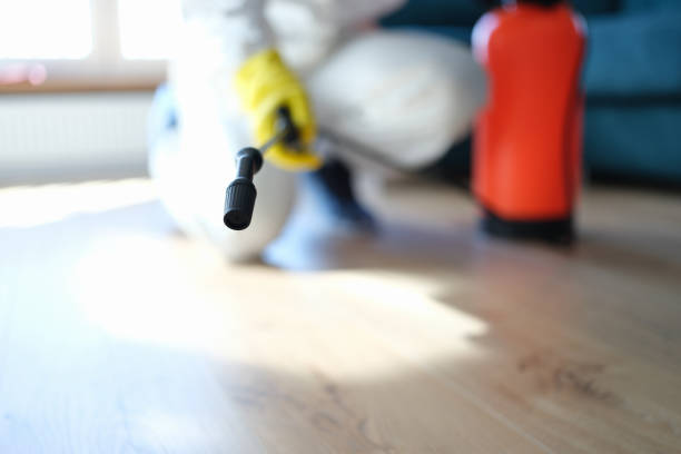 Best Mold Prevention Services  in Monroe, MI