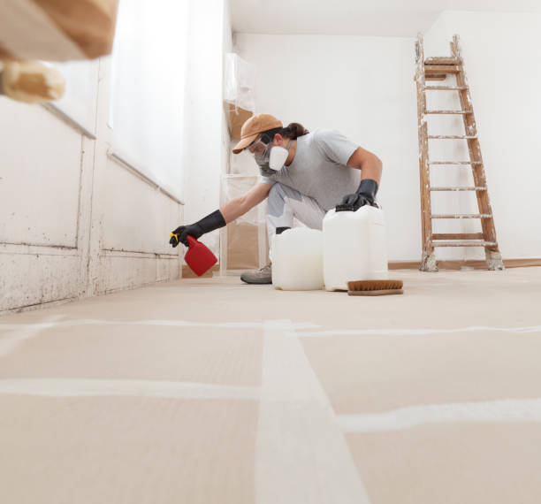 Best Post-Construction Mold Inspection  in Monroe, MI