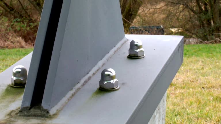 Best Commercial Mold Inspection  in Monroe, MI